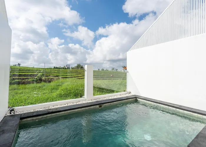 Sunrise Bliss 13 Ricefield View Private Pool By Bali Bliss *
