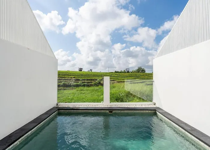 Sunrise Bliss 13 Ricefield View Private Pool By Bali Bliss